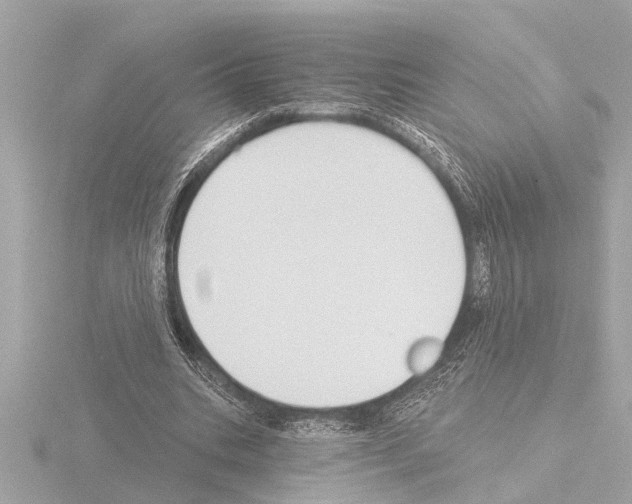 X0000115490535200912181405