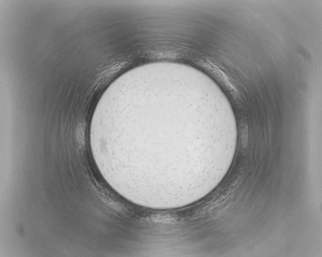 X0000115490537200912181405