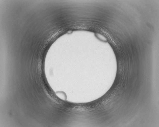 X0000115490538200912181405