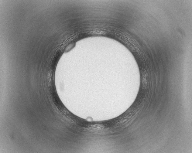 X0000115490551200912181405