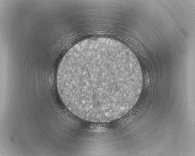 X0000115490559200912181405