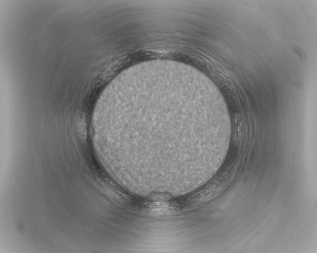 X0000115490562200912181405