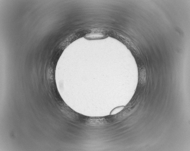 X0000115490571200912181406