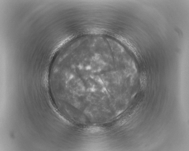 X0000115490581200912181405