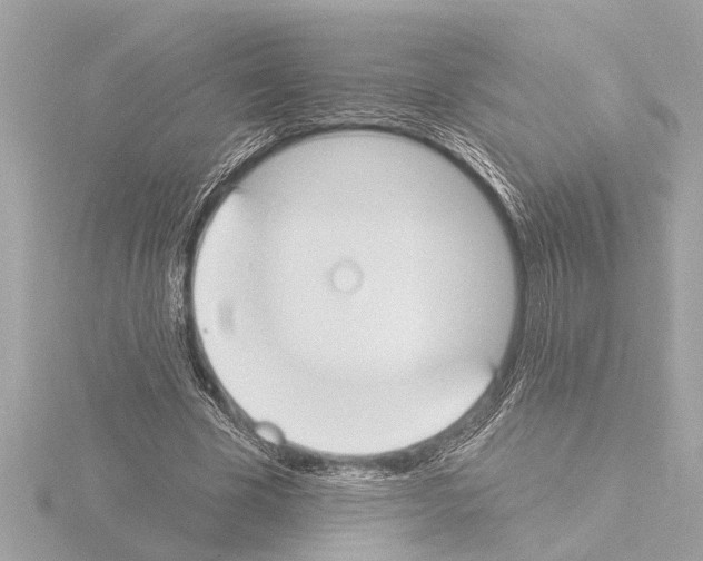 X0000115490585200912181405