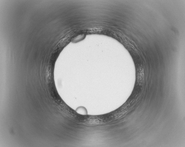 X0000115490608200912181404