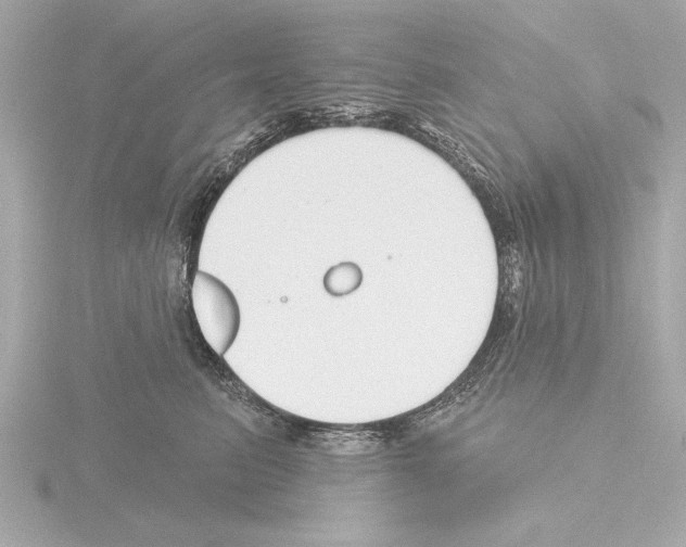 X0000115490615200912181404