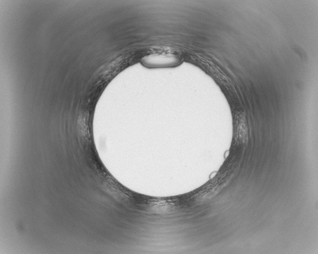 X0000115490616200912181404