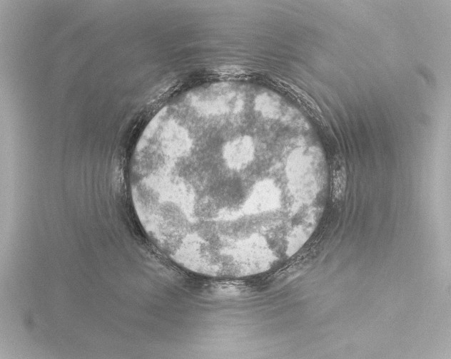 X0000115490618200912181404