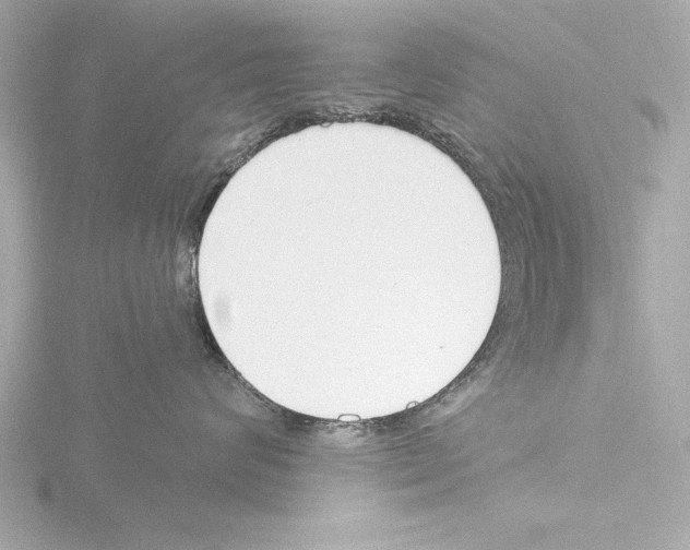 X0000115490624200912181404
