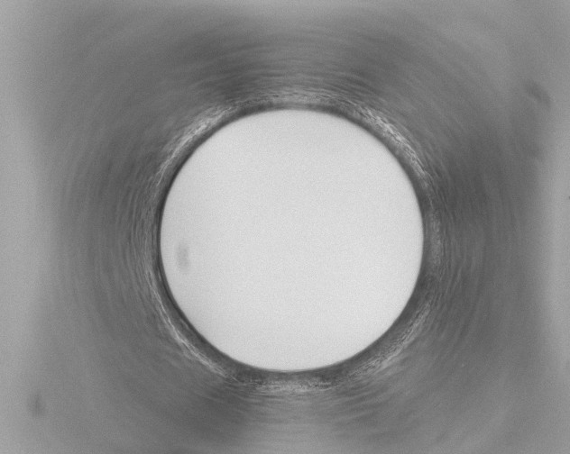 X0000115490625200912181404