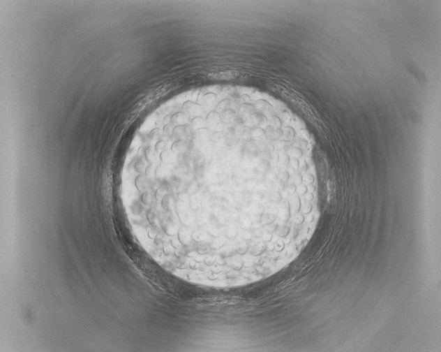 X0000115490626200912181404