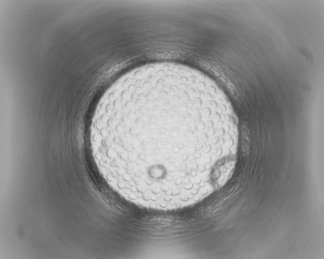 X0000115490631200912181404