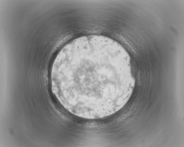 X0000115490634200912181404