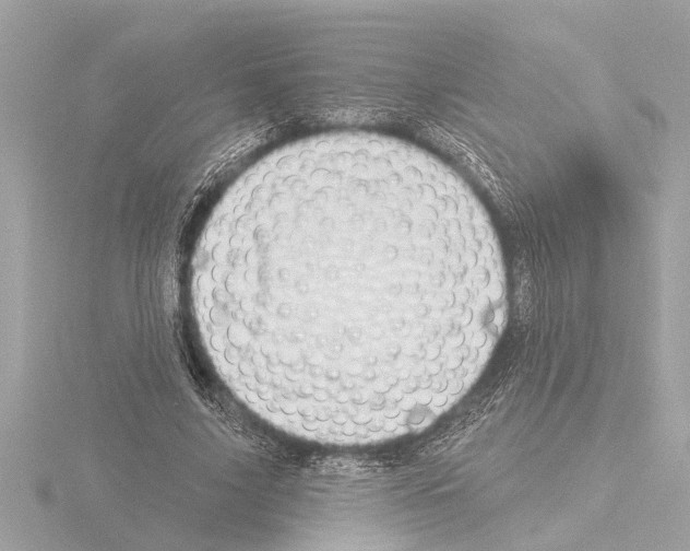 X0000115490635200912181404