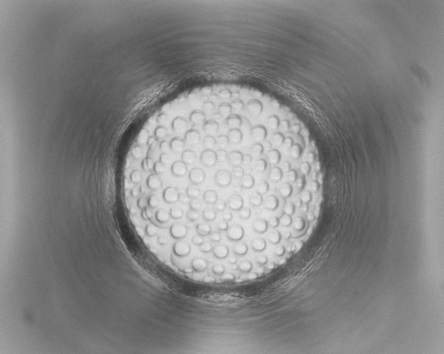 X0000115490638200912181404