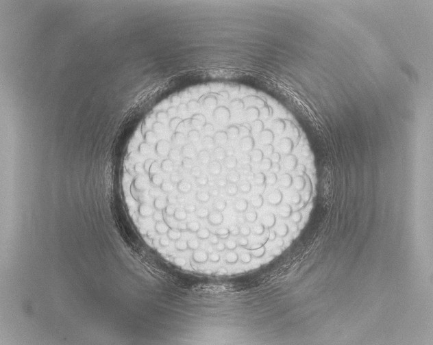 X0000115490639200912181404