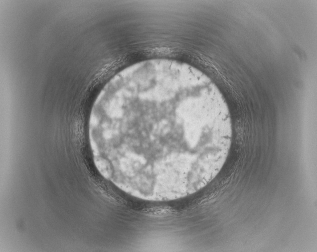 X0000115490642200912181404