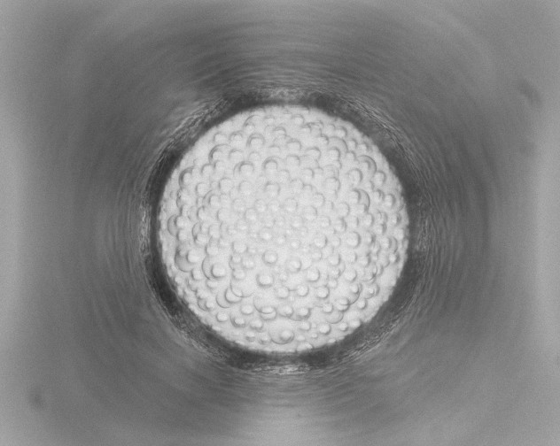 X0000115490646200912181404