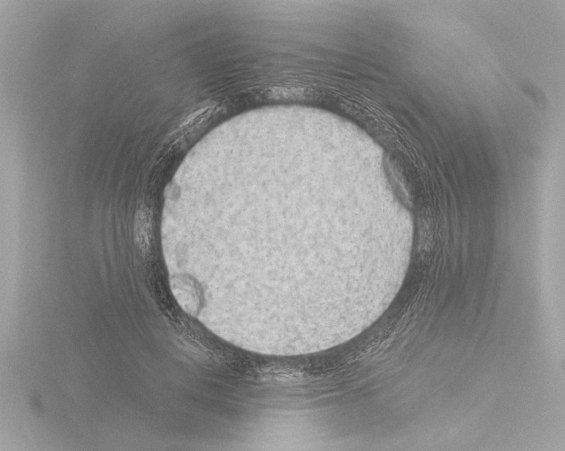 X0000115490648200912181404