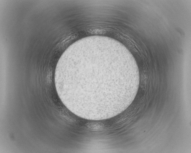 X0000115490652200912181404