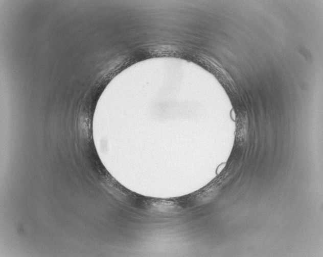 X0000115490669200912181404