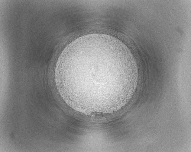 X0000115490672200912181404