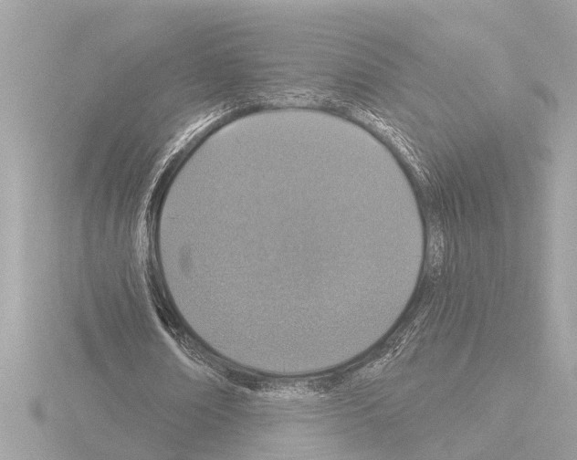 X0000115490674200912181404