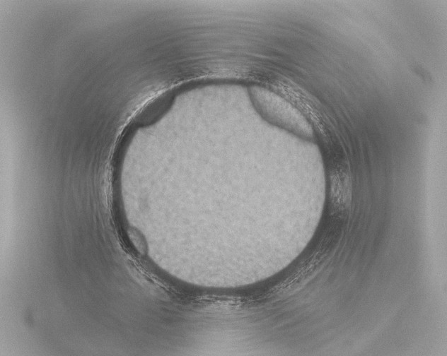 X0000115490676200912181404