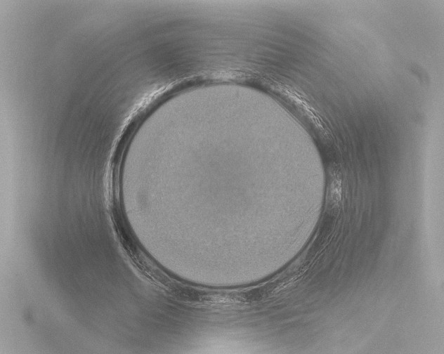 X0000115490678200912181404