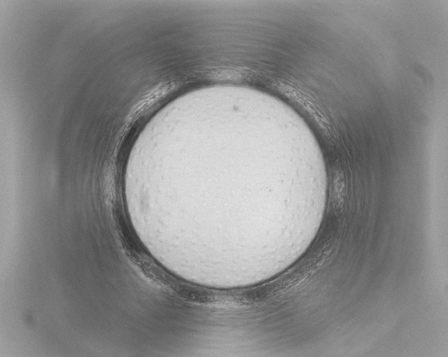 X0000115490682200912181403