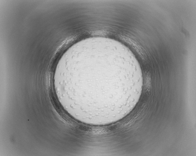 X0000115490686200912181403