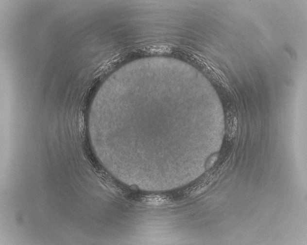 X0000115490704200912181403