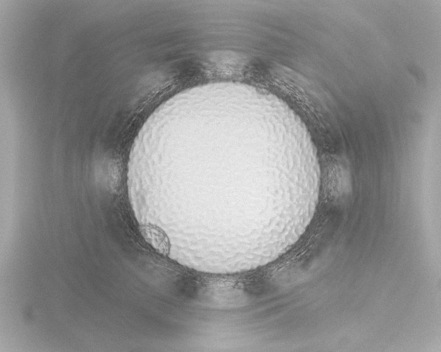 X0000115490709200912181403