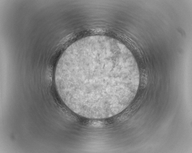 X0000115490710200912181403