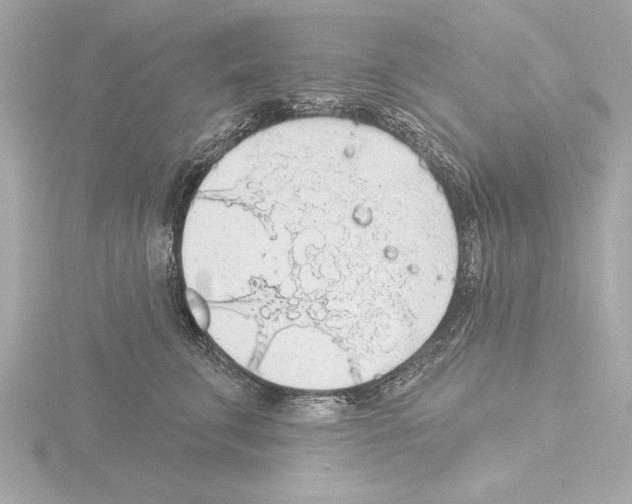 X0000115490711200912181403