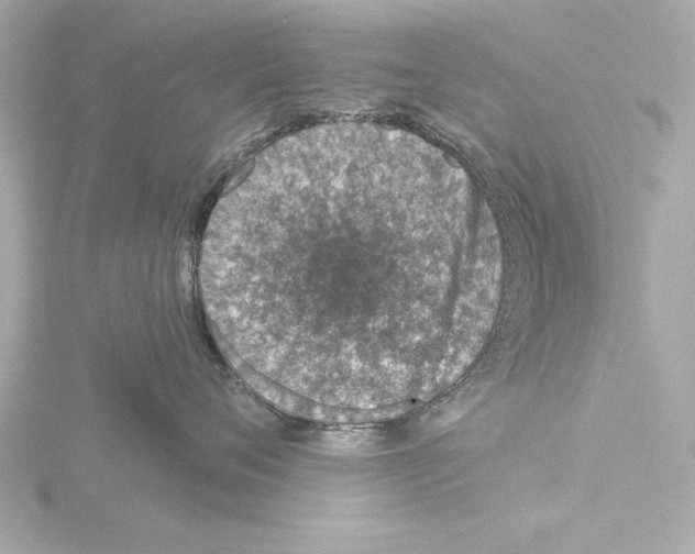 X0000115490720200912181403