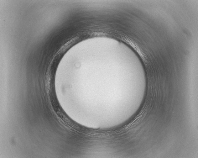 X0000115490722200912181402