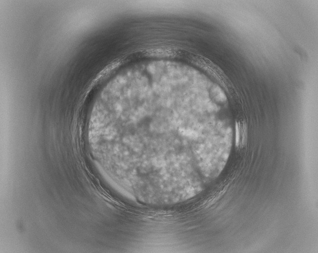 X0000115490723200912181402