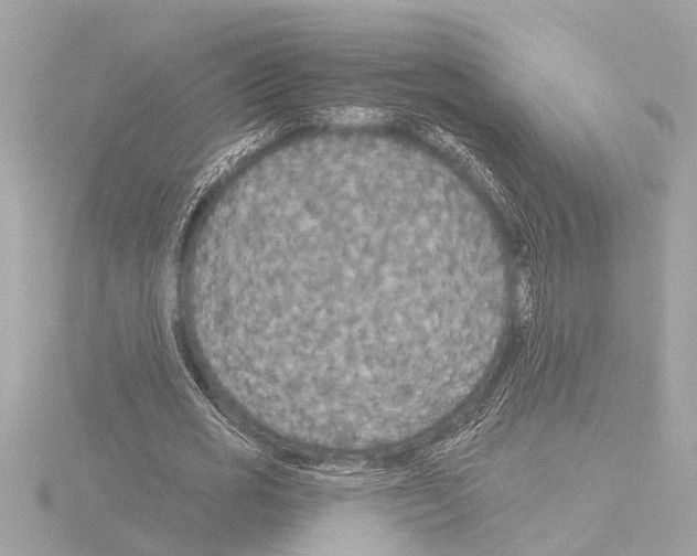 X0000115490725200912181402