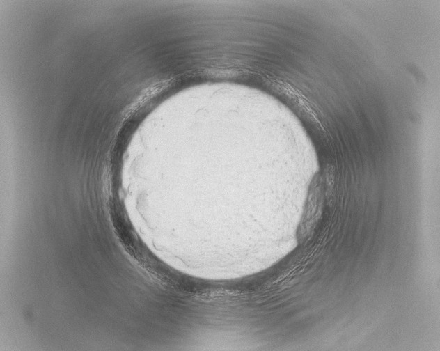 X0000115490734200912181402