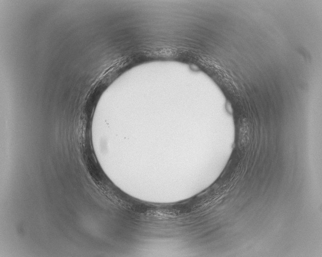 X0000115490739200912181402