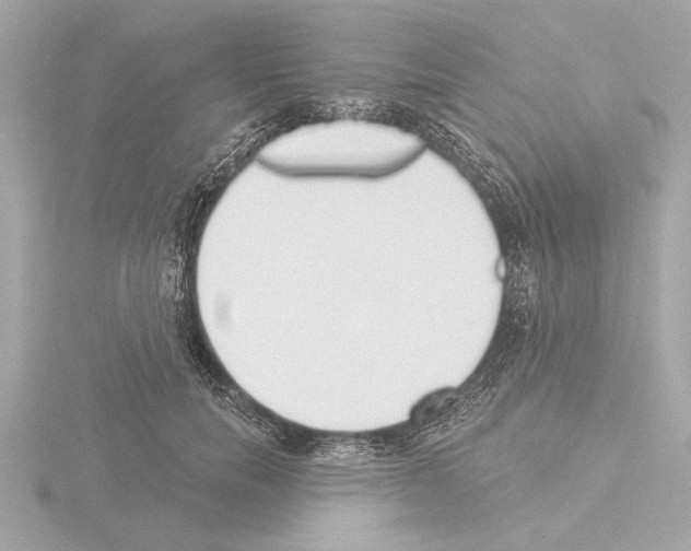 X0000115490750200912181402