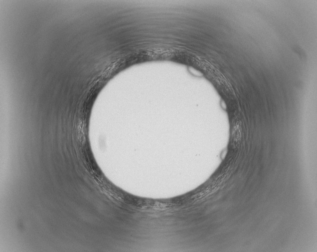 X0000115490772200912181402