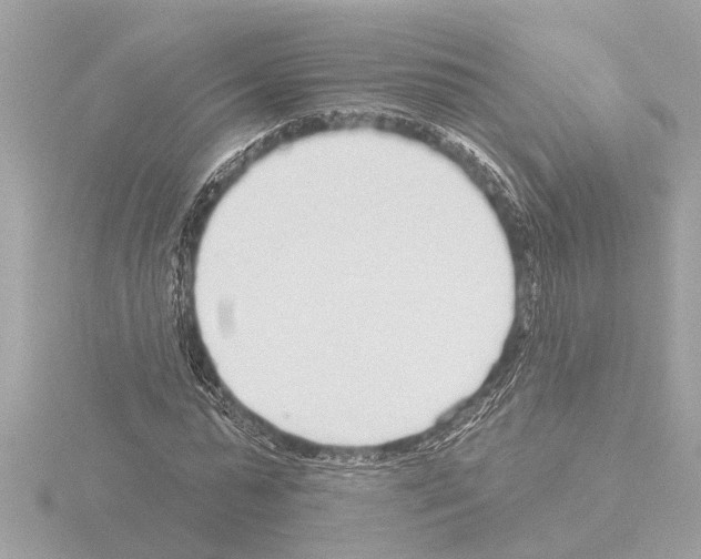 X0000115490775200912181402