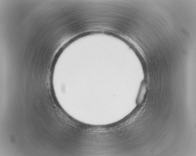 X0000115490783200912181402