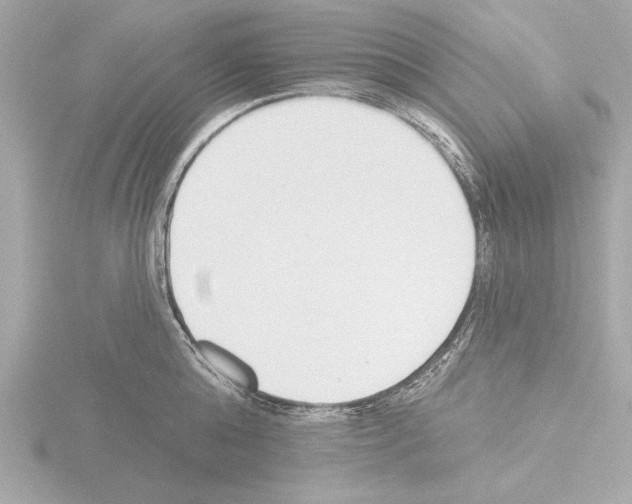 X0000115490808200912181402