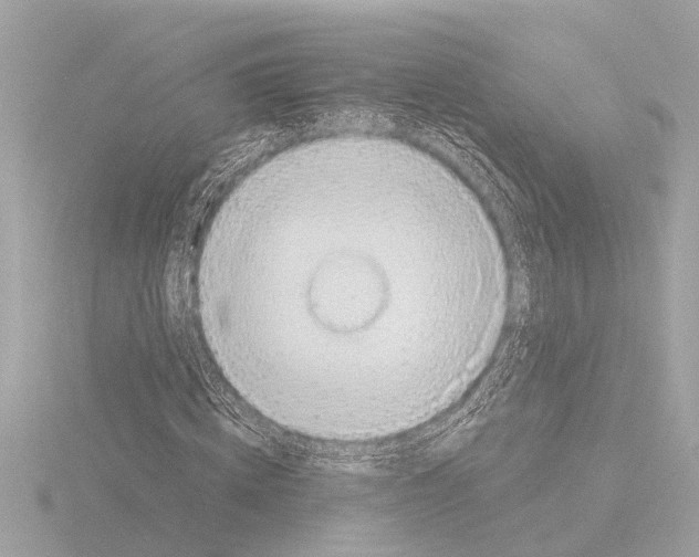 X0000115490820200912181401