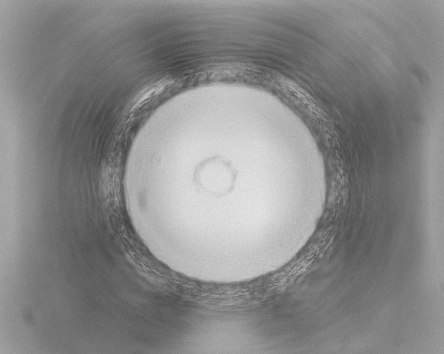 X0000115490824200912181401