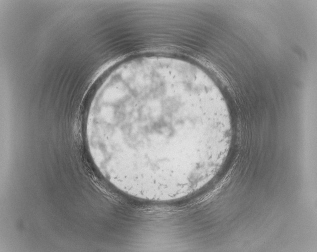 X0000115490830200912181401